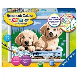 Ravensburger Malen-nach-Zahlen Süße Hundewelpen mehrfarbig