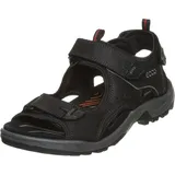 ECCO 822044 12001 - 198000031 42