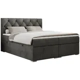 MKS Boxspringbett 160 x 200 cm H4 Dunkelgrau