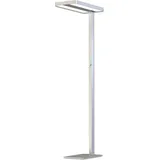ISOLED LED Office Pro Stehleuchte Up+Down, 40+40W, UGR