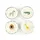 CreaTable Tafelservice Safari 4-tlg. bunt