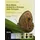 PICCIN Eco-Devo. Ambiente e Biologia Dello Sviluppo