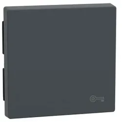 Merten MEG3303-0414 Wippe für Kennzeichnung Schlüssel, anthrazit, System M MEG33030414