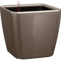 LECHUZA Quadro LS 50 Komplettset 50 x 50 x 47 cm taupe hochglanz