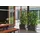 LECHUZA Cararo Komplettset 75 x 30 x 43 cm anthrazit metallic