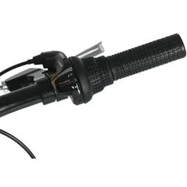 Dacapo Mistral 24 Zoll RH 38 cm weiß