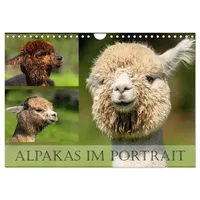 Calvendo Alpakas im Portrait (Wandkalender 2026 DIN A4 quer),