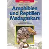 Amphibien und Reptilien Madagaskars