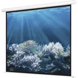 Magnetoplan Elektrische Leinwand Standard, 2400 x 2400 mm, 1:1