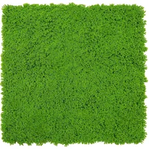 JANGAL Wandpaneel Jangal Modular Wall Lime Green 2 St. 52 x 52 cm