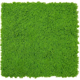JANGAL Wandpaneel Jangal Modular Wall Lime Green 2 St. 52 x 52 cm