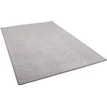 Snapstyle Snapstyle, Luxus Soft Velours Teppich, Shine Taupe 200x300cm