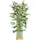 Homcom Künstliche Pflanze-Ø35 x 180H cm-Grün | Gr.: onesize