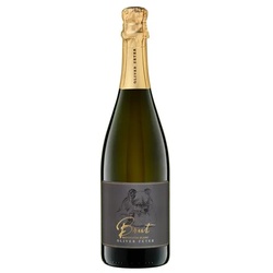 Sauvignon Blanc Brut Oliver Zeter 2021 – 6Fl. á 0.75l