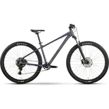 R Raymon Nayta Comp 2026 29 Zoll RH 165-173 cm smoke lavender/black