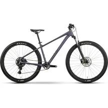 R Raymon Nayta Comp 2026 29 Zoll RH 165-173 cm smoke lavender/black