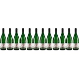 12x Müller Thurgau, 2022 - Weingut Schneiderfritz, Pfalz! Wein