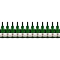 12x Müller Thurgau, 2022 - Weingut Schneiderfritz, Pfalz! Wein