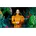 QH75C 75 LH75QHCEBGCXEN