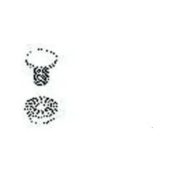 10St. Niedax FLM 6X12 Flachrundschraube FLM6X12
