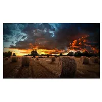 Samsung VM55B-U 55"