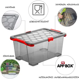 Rotho Aufbewahrungsbox Evo Total 44 L 1-tlg. transparent