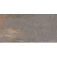 Euro Stone Terrassenplatte Feinsteinzeug Metallic 60 x 120 cm