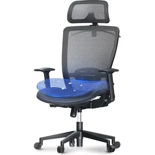 FlexiSpot Bürostuhl Ergonomischer Schreibtischstuhl mit Großem Rückenlehnenbereich Höhenverstellbarer Sitz, Kopfstütze, Armlehnen, Lendenstütze, Rollen Arbeitsstuhl, OC3B