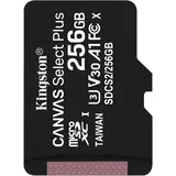 UHS-I 256 GB