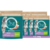 Purina ONE BIFENSIS Sensitive Reich an Truthahn und Reis 6 x 750 g