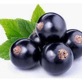 YODEYMA Celebrity Woman Eau de Parfum 100 ml