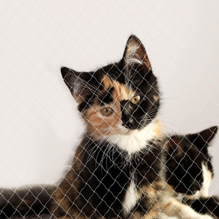 LIONTO Katzenschutznetz inkl. Befestigung