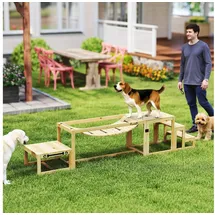 PawHut Agility-Hürde 4er-Set Hundetraining beige