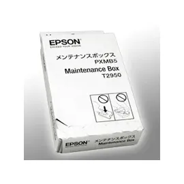 Epson C13T295000