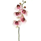 Kunstorchidee Kunstzweig Phalaenopsis Orchidee SONGYA, pink-Creme, 55 cm Orchidee (Orchidee phalaenopsis), artplants rosa