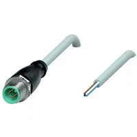 Pepperl+Fuchs 240771-0017 Sensor-/Aktor-Steckverbinder, konfektioniert 0.4m Polzahl 4 1St.