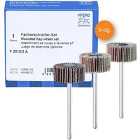 Pferd TOOLS Fächerschleifer-Set Korund Ø20x10mm Schaft-Ø3mm A 80,120 und 180 für Feinschliff& Finish