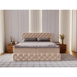 GRAINGOLD Canolo 160 x 200 cm Beige