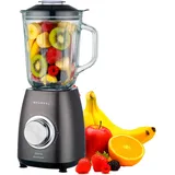 Grunkel BAT-1000MIXMASTER Standmixer