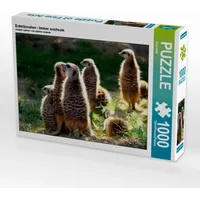 Calvendo Erdmännchen - Immer wachsam Puzzle
