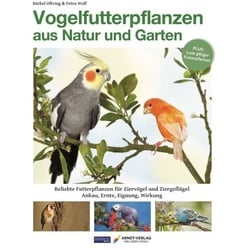 Vogelfutterpflanzen aus Natur und Garten