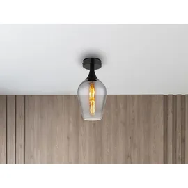 meineWunschleuchte - Kleine LED Deckenleuchte Rauchglas Lampenschirm, Ø15cm