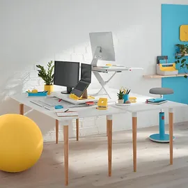 Leitz Ergo Cosy Schreibtischaufsatz Grau 1 St.