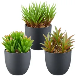 Creativ green Kunstpflanze »Sukkulenten«, mit dekorativem Kies Creativ green grün