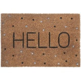 Relaxdays Fußmatte Kokos, Hello Schriftzug & Punkte, Fußabtreter 40x60 cm, wetterfest, Haustürmatte innen & außen, bunt