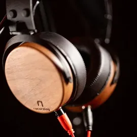 OLLO Audio R1 1.0 Braun mit Wandhalter