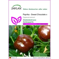 SAFLAX - - Sweet Chocolate x - 10 Samen