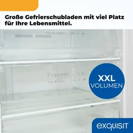 Exquisit GS5380-NF-H-050D Weiß