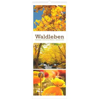 Neumann Waldleben - Triplets 2027