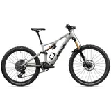 amflow PX Carbon Pro 2027 29 Zoll RH L grau